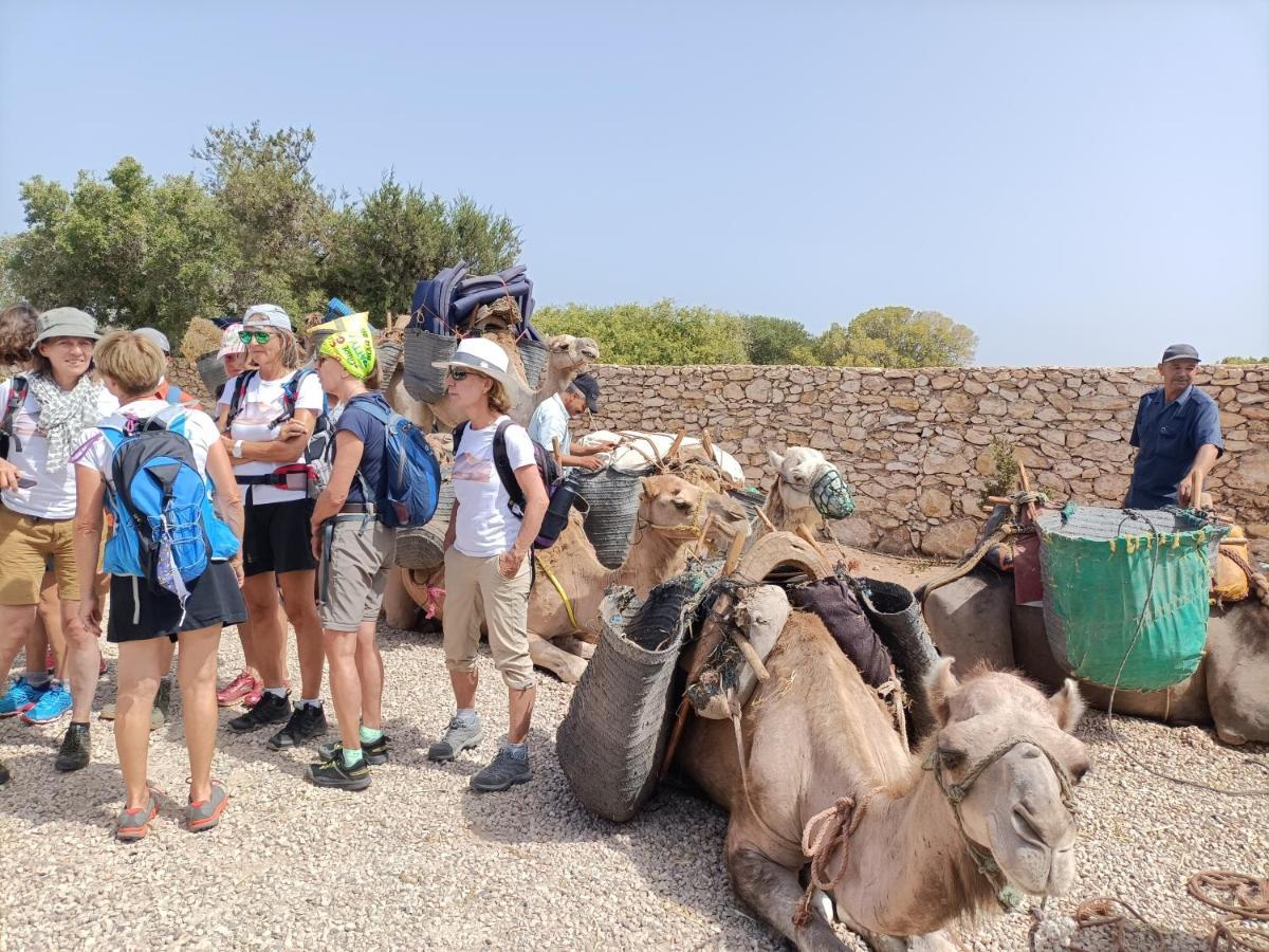 בית הארחה סידי קאוקי 	Dar Albatros מראה חיצוני תמונה