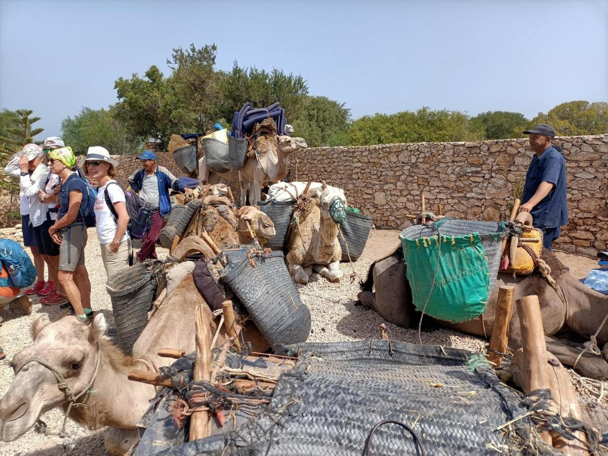 בית הארחה סידי קאוקי 	Dar Albatros מראה חיצוני תמונה
